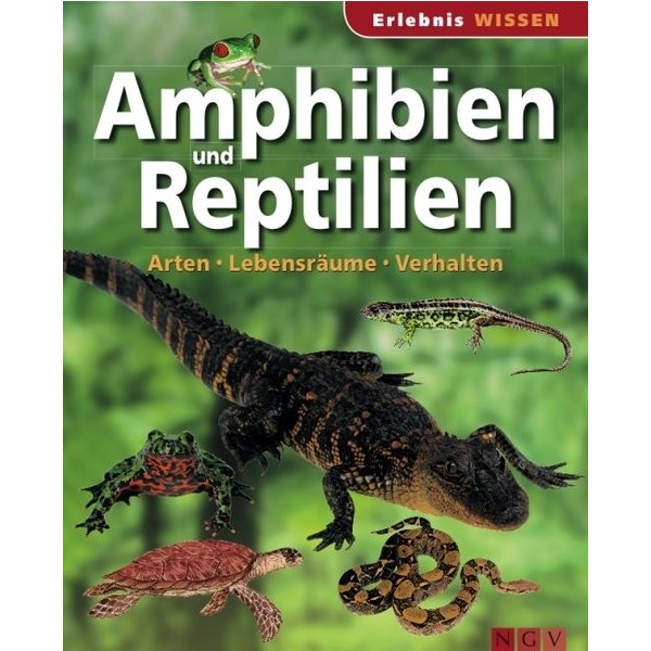 Amphibien und Reptilien Arten, Lebensräume, Verhalten